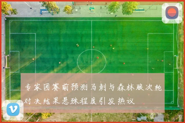 专家团赛前预测马刺与森林狼次轮对决结果悬殊程度引发热议